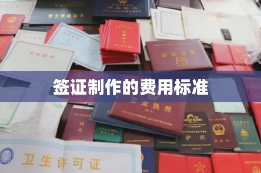 白朗签证制作的费用标准