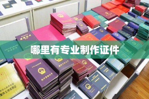 白朗哪里有专业制作证件