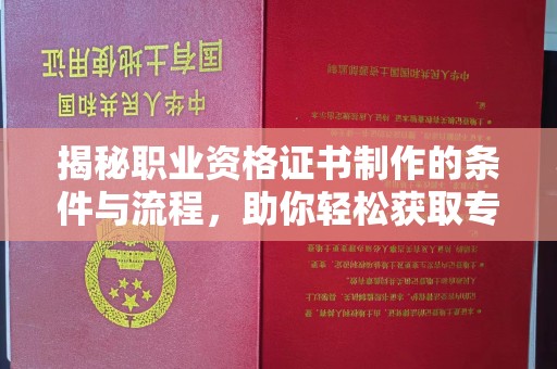 白朗揭秘职业资格证书制作的条件与流程，助你轻松获取专业认证