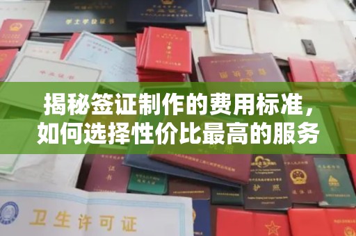 白朗揭秘签证制作的费用标准，如何选择性价比最高的服务？