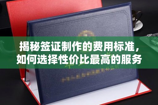 白朗揭秘签证制作的费用标准，如何选择性价比最高的服务？