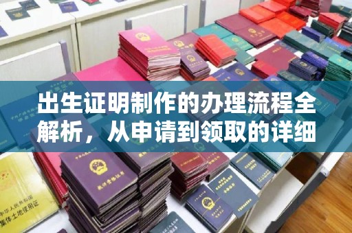 白朗出生证明制作的办理流程全解析，从申请到领取的详细指南