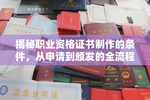 白朗揭秘职业资格证书制作的条件，从申请到颁发的全流程解析