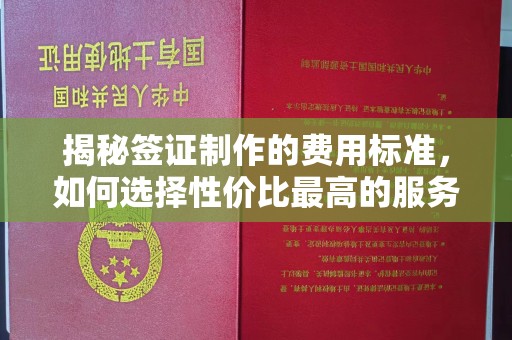 白朗揭秘签证制作的费用标准，如何选择性价比最高的服务？