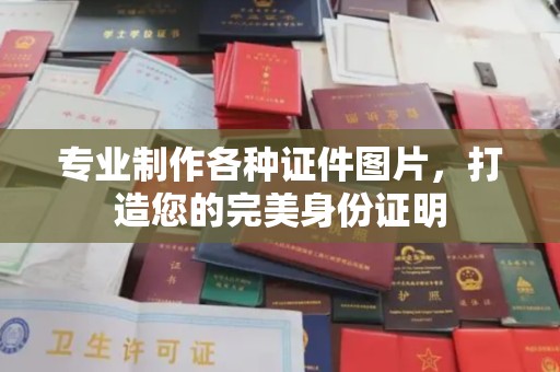 白朗专业制作各种证件图片，打造您的完美身份证明