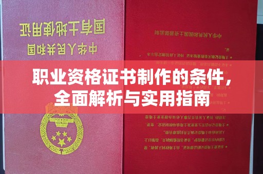 白朗职业资格证书制作的条件，全面解析与实用指南