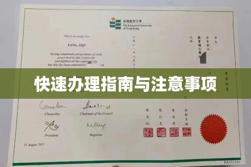 白朗快速办理指南与注意事项