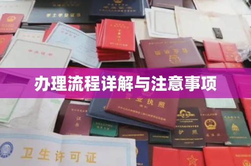 白朗办理流程详解与注意事项